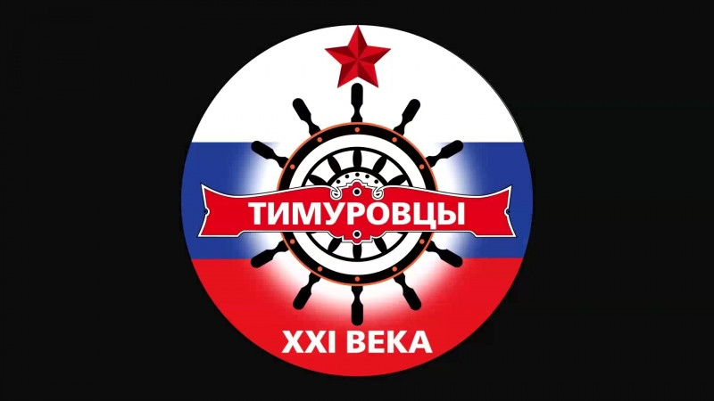 Картинка тимуровцы 21 века